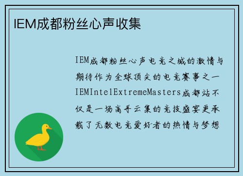 IEM成都粉丝心声收集